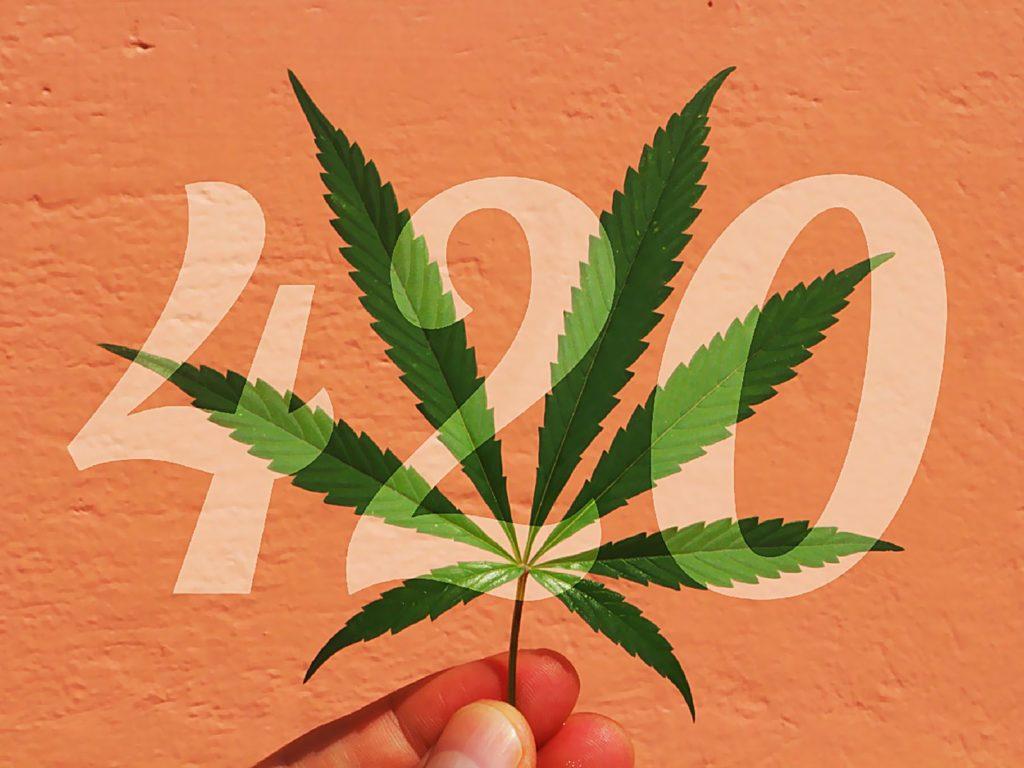 420Marihuana, 420Konopie, 420Cannabis, 420THC, 420CBD, 420Uprawa, 420Kultura, 420Palacze, 420Polska, 420Świat, 420News
