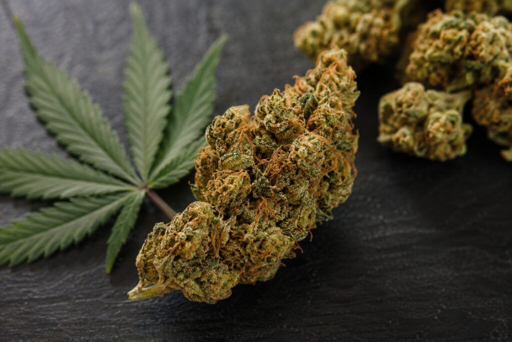 Najmocniejszy kannabinoid thc p