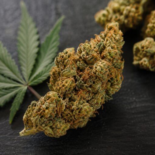 Najmocniejszy kannabinoid thc p