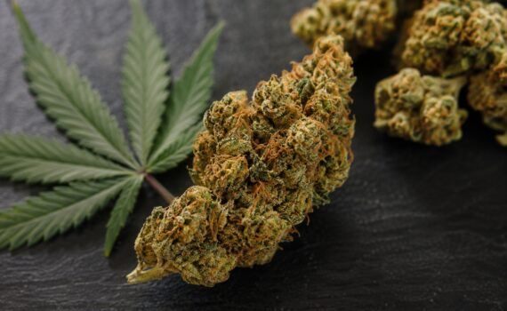 Najmocniejszy kannabinoid thc p