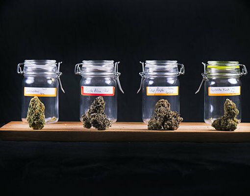 Negatywne skutki medycznej marihuany