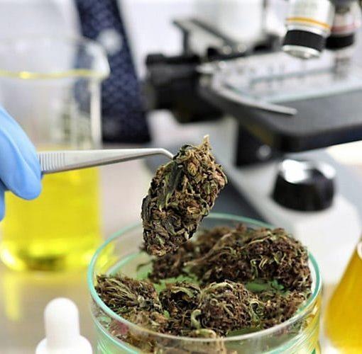 Podrozowanie z olejem