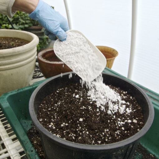 System uprawy marihuany scrog